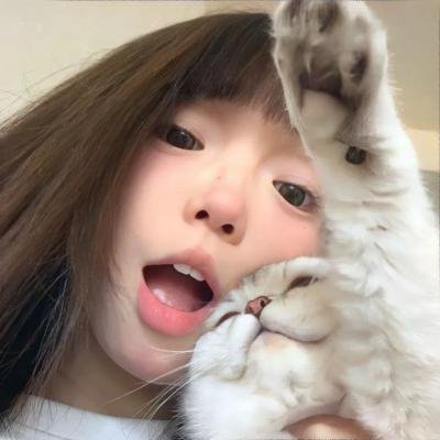 雌雄双谍海报